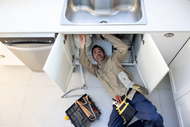Best Sprinkler Systems  in Long Lake, MN