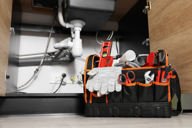 Best Clogged Drain Plumber  in Long Lake, MN