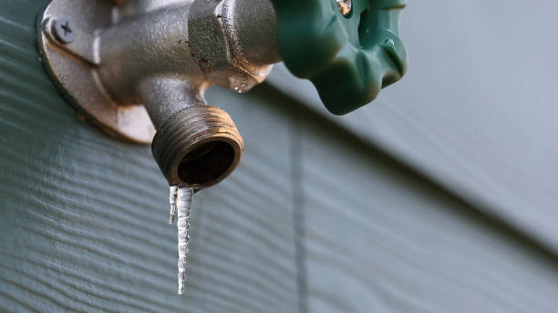 Best Plumbing Repair Near Me  in Long Lake, MN